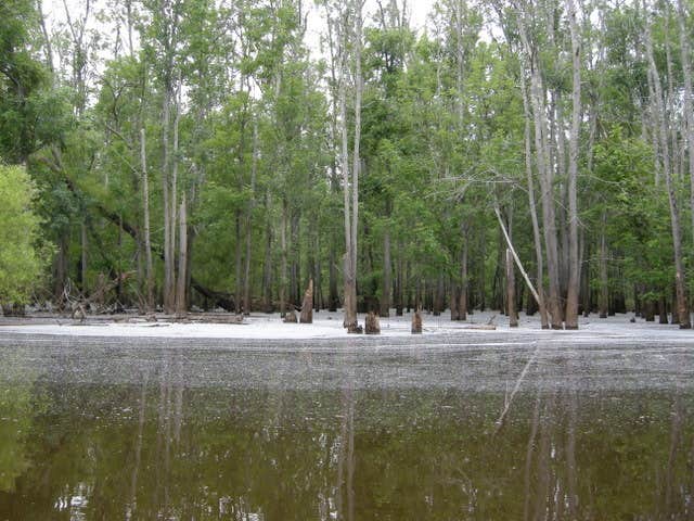 Camper submitted image from Buffalo Park - 3