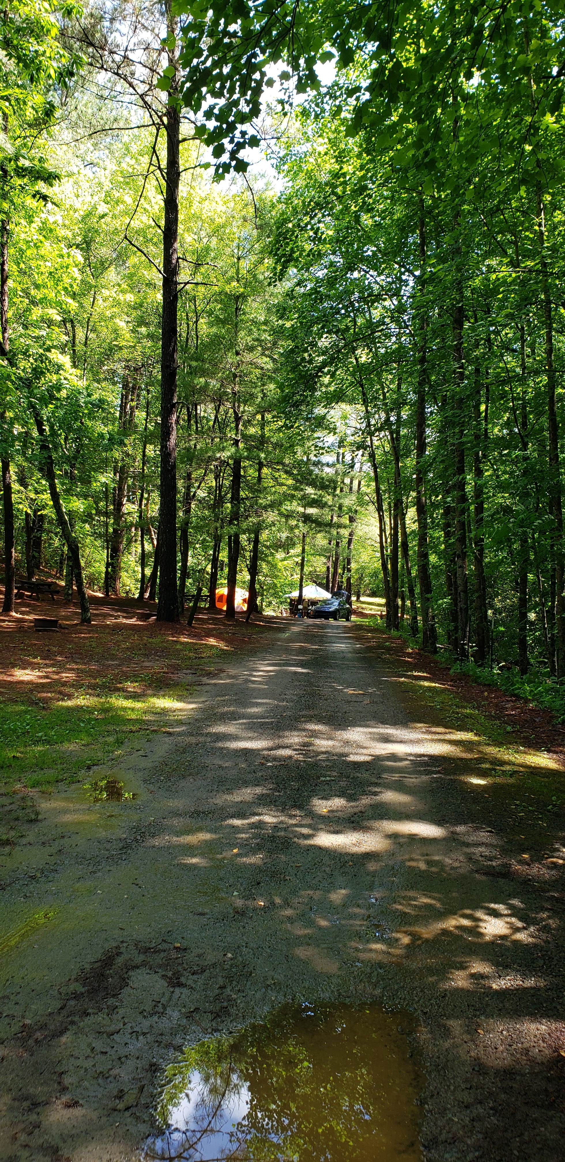 Camper-submitted photo at Beechnut Family Campground near Summerfield, NC