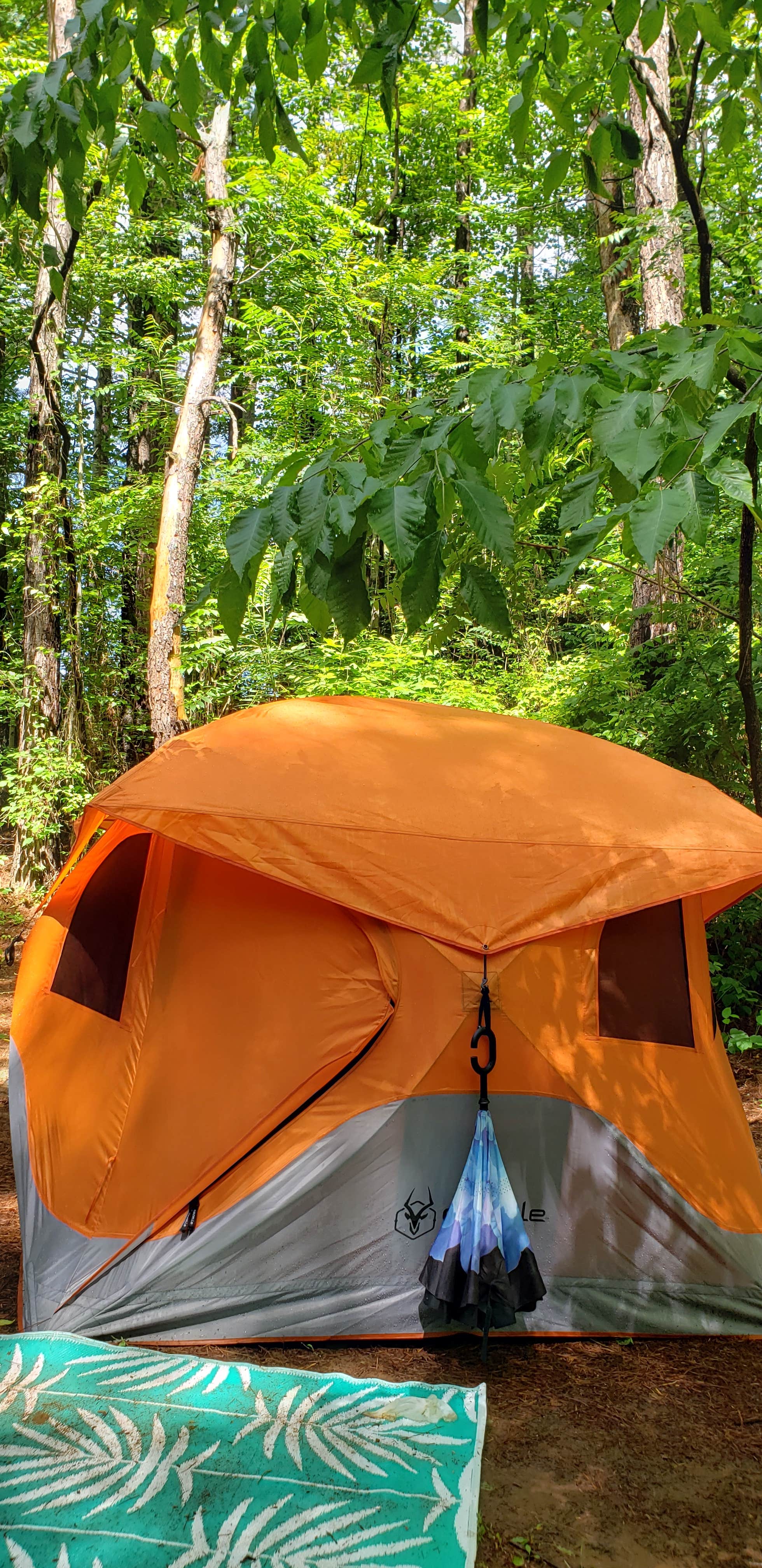 Glenn S.'s photo at Beechnut Family Campground near Elkin, NC