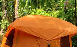 Glenn S.'s photo at Beechnut Family Campground near Cana, VA