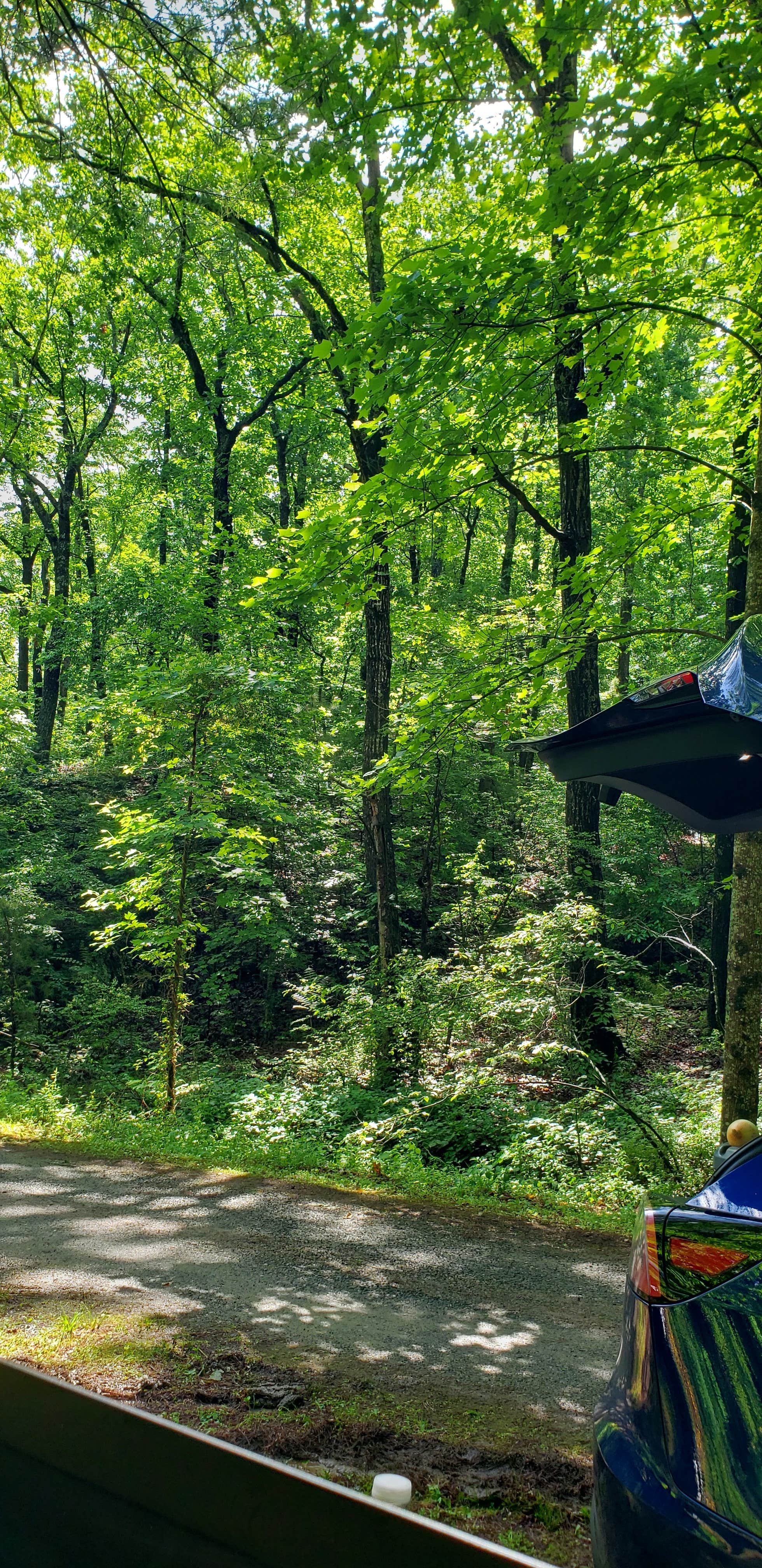 Camper-submitted photo at Beechnut Family Campground near Summerfield, NC