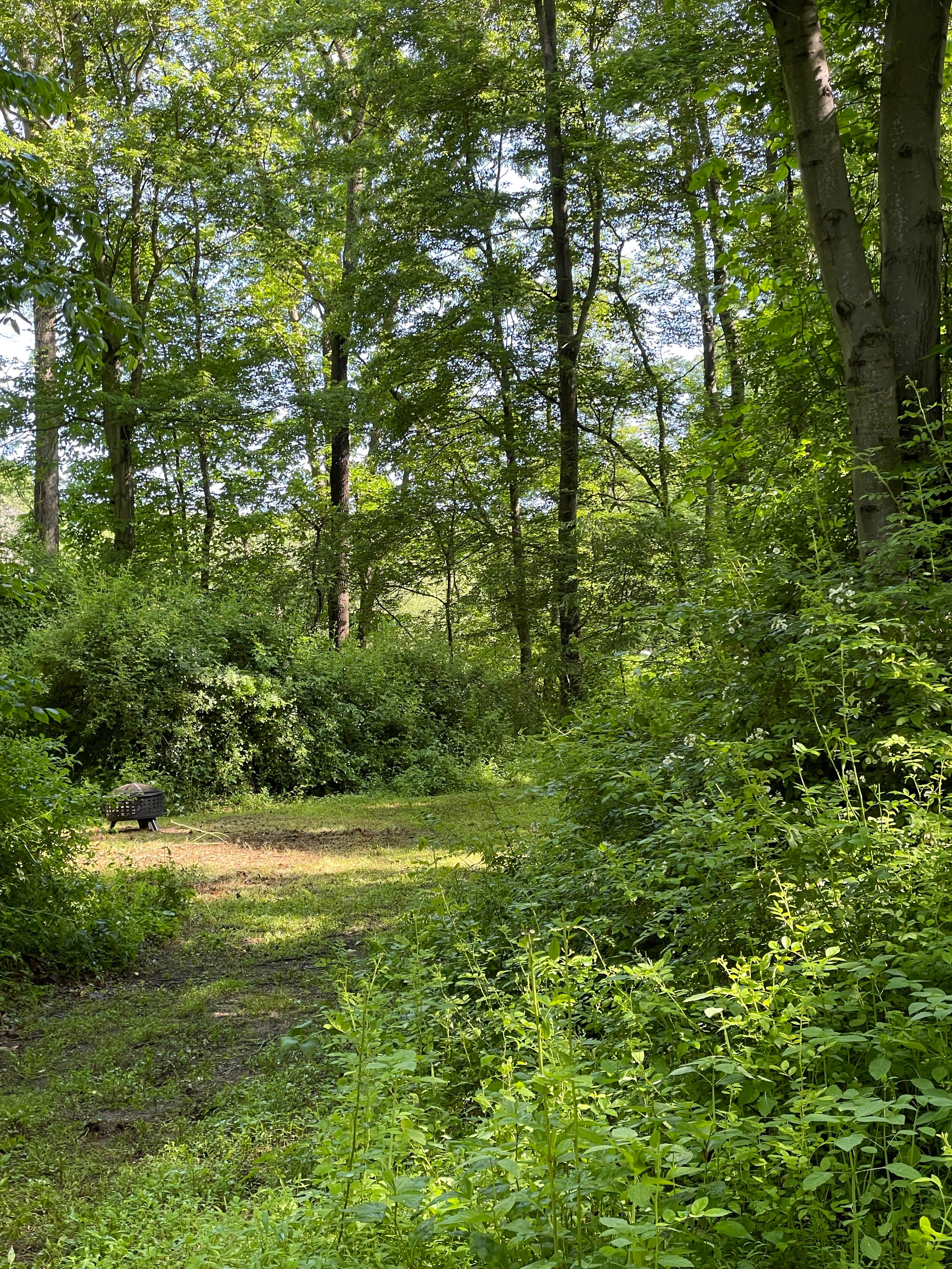Camper-submitted photo at Wooded Campground near Johnsonburg, NJ