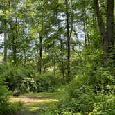 Review photo of Wooded Campground by Katharine T., May 31, 2022