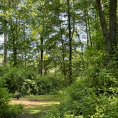 Review photo of Wooded Campground by Katharine T., May 31, 2022