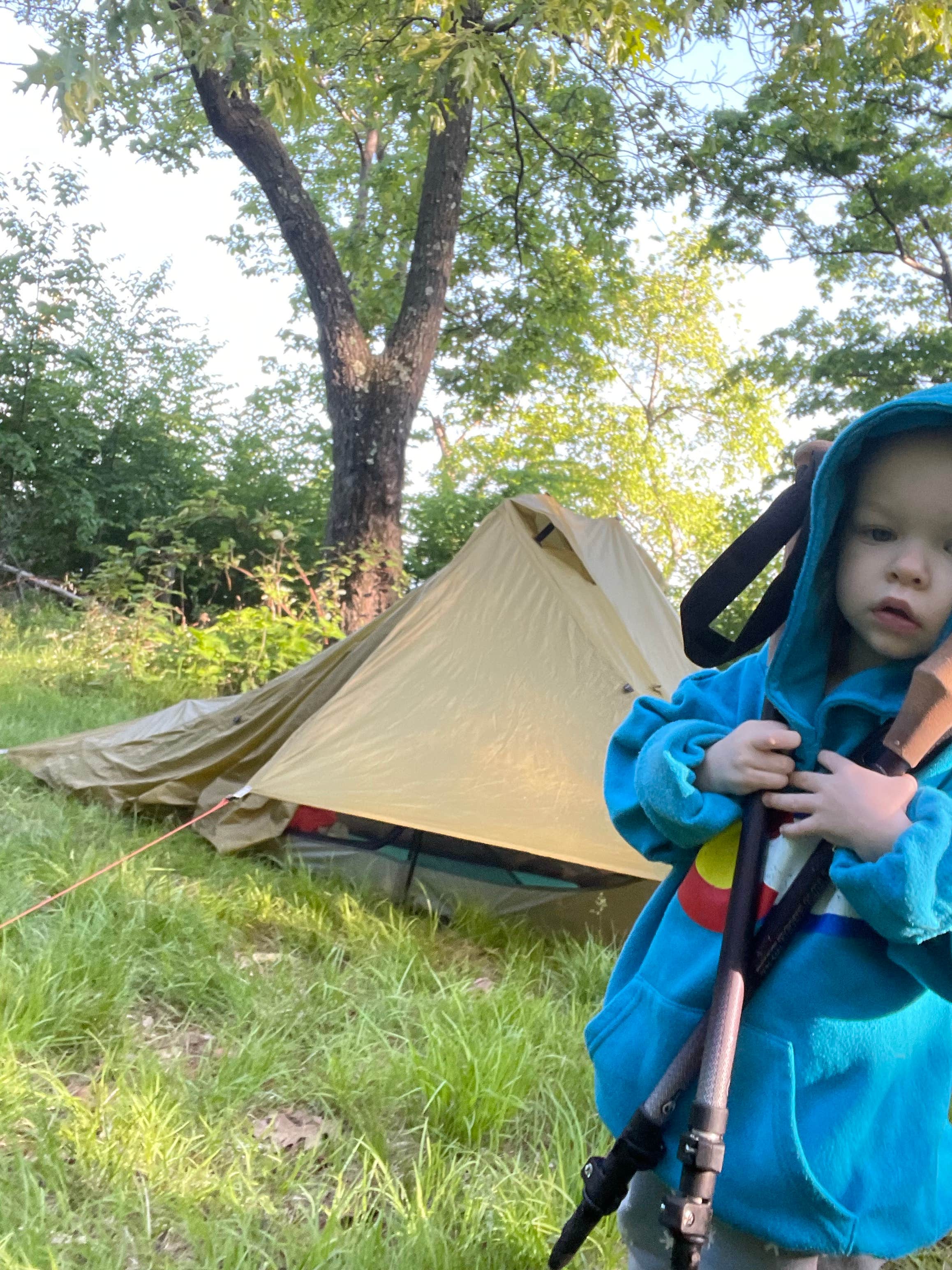 Camper submitted image from Appalachian Trail- Designated Backpacker Campsite 2 - 4