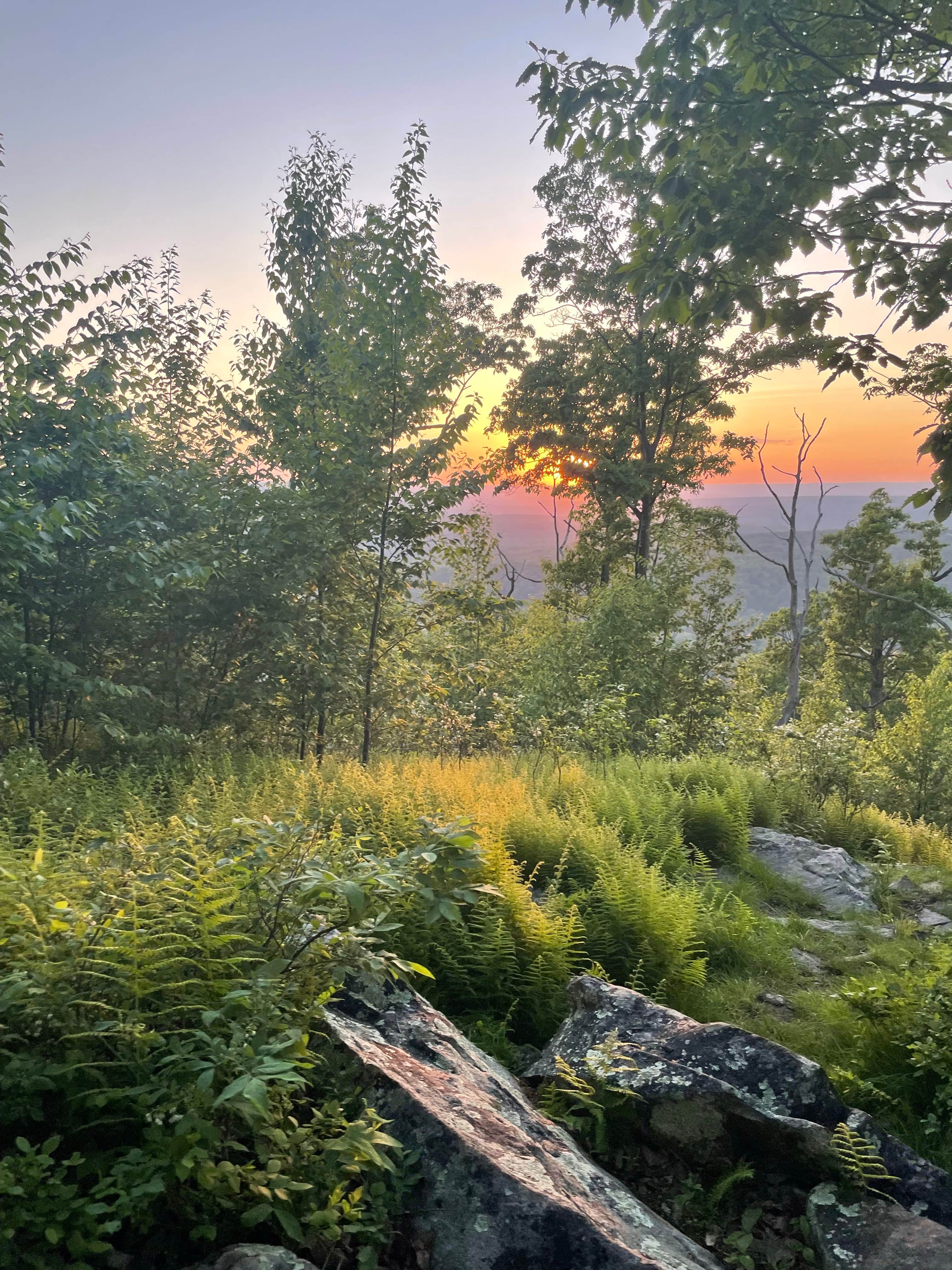 Camper-submitted photo at Appalachian Trail- Designated Backpacker Campsite 2 near Tobyhanna, PA