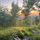 Review photo of Appalachian Trail- Designated Backpacker Campsite 2 by Katharine T., May 31, 2022