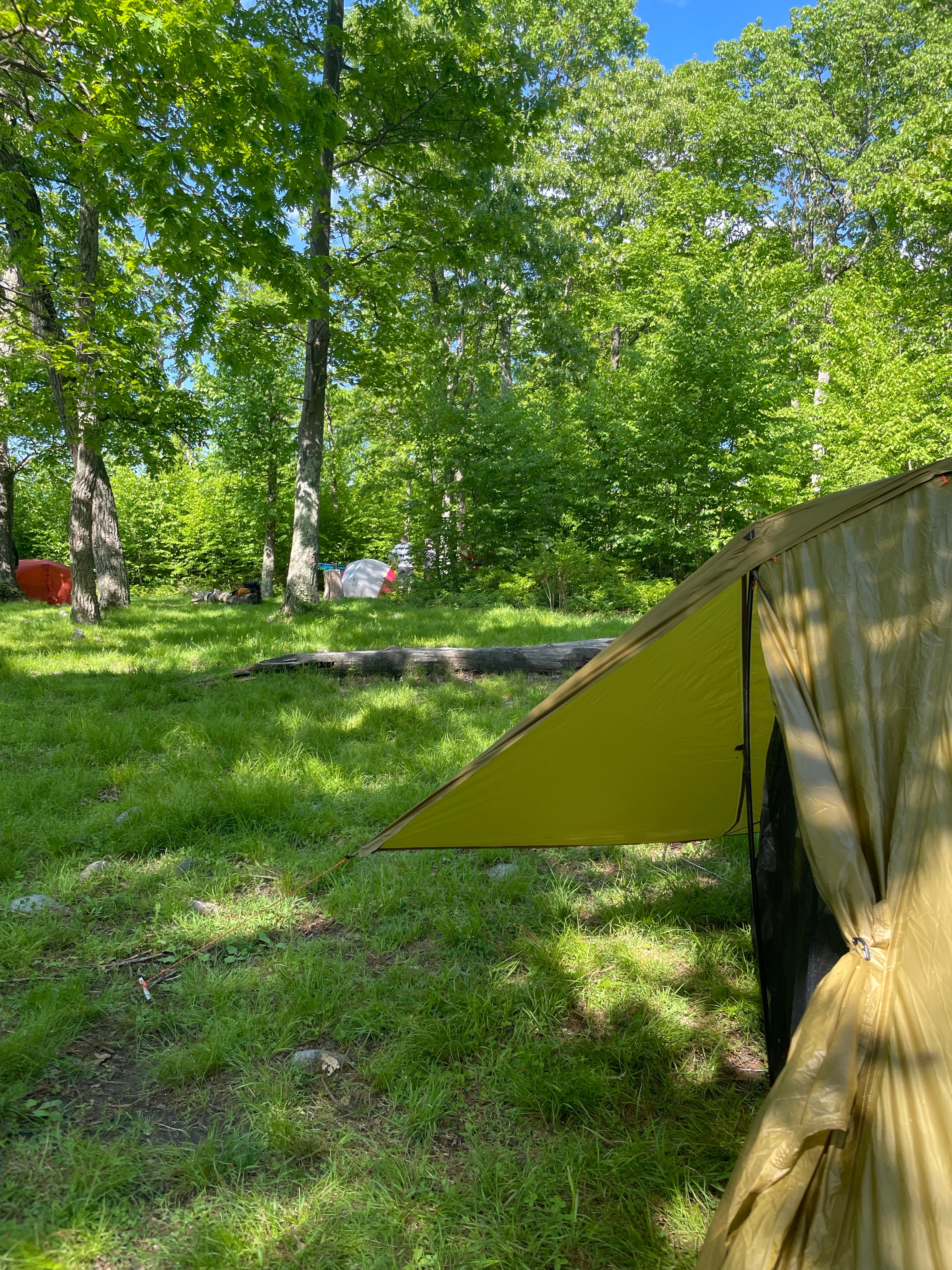 Camper submitted image from Appalachian Trail- Designated Backpacker Campsite 2 - 1