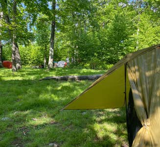 Camper-submitted photo from Appalachian Trail- Designated Backpacker Campsite 2