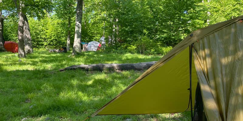 Camper submitted image from Appalachian Trail- Designated Backpacker Campsite 2