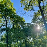 Review photo of Appalachian Trail- Designated Backpacker Campsite 2 by Katharine T., May 31, 2022