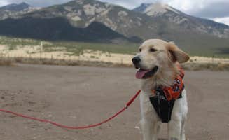 Annie G.'s photo of camping with pets at Home Mountain Reservoir SWA - Dispersed Campsites near Costilla, NM