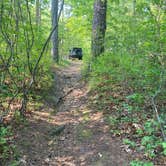 Review photo of Atsion Family Camp — Wharton State Forest by Steve W., May 31, 2022