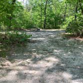 Review photo of Atsion Family Camp — Wharton State Forest by Steve W., May 31, 2022