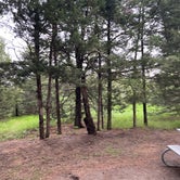 Review photo of Pease Creek Recreation Area by Roger W., May 31, 2022