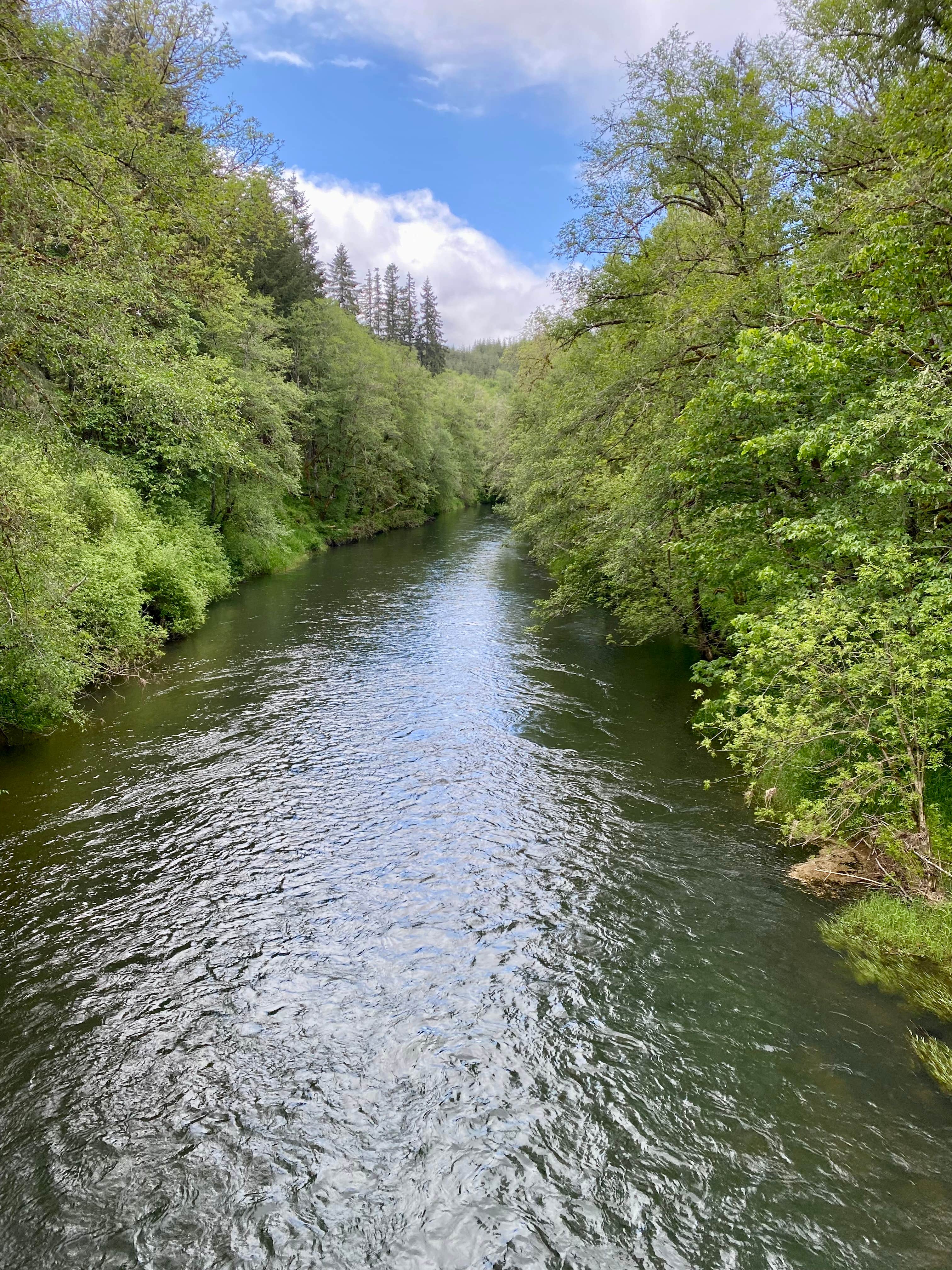 Camper-submitted photo at Big Eddy Park near Buxton, OR