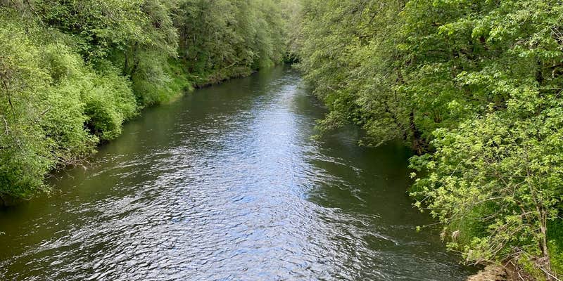 Camper submitted image from Big Eddy Park