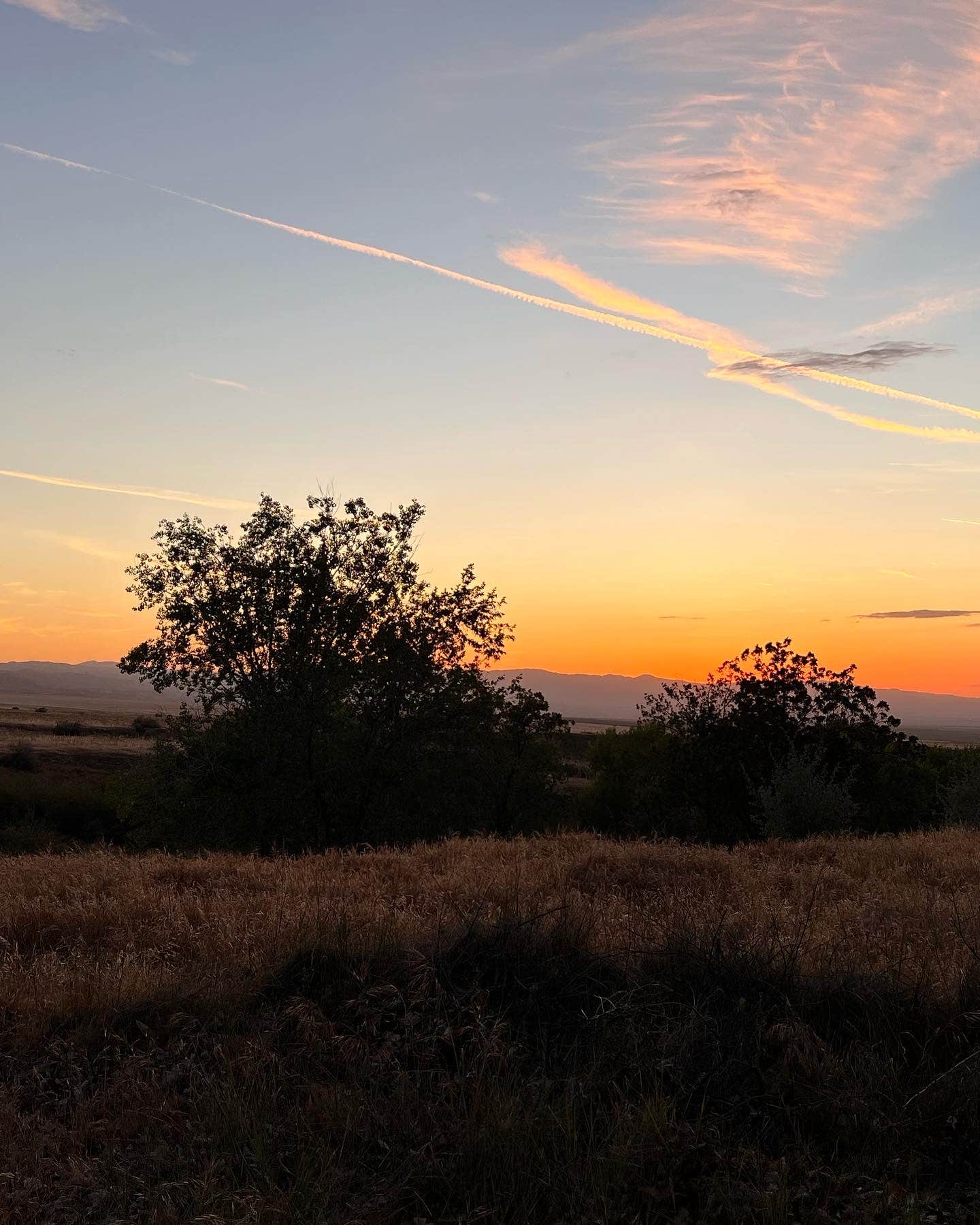 Camper-submitted photo at San Emigdio Campground near Taft, CA