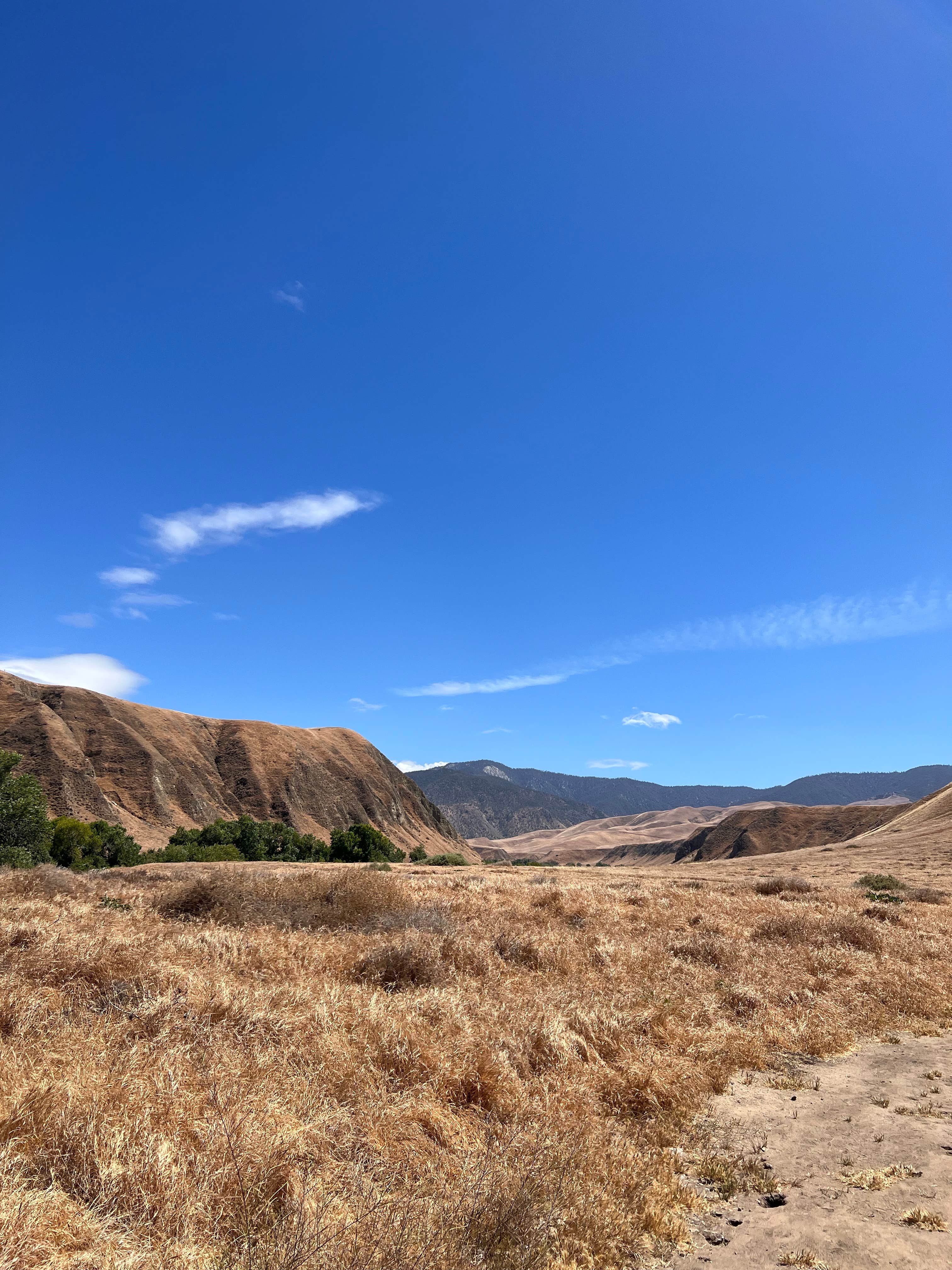 Camper-submitted photo at San Emigdio Campground near Taft, CA