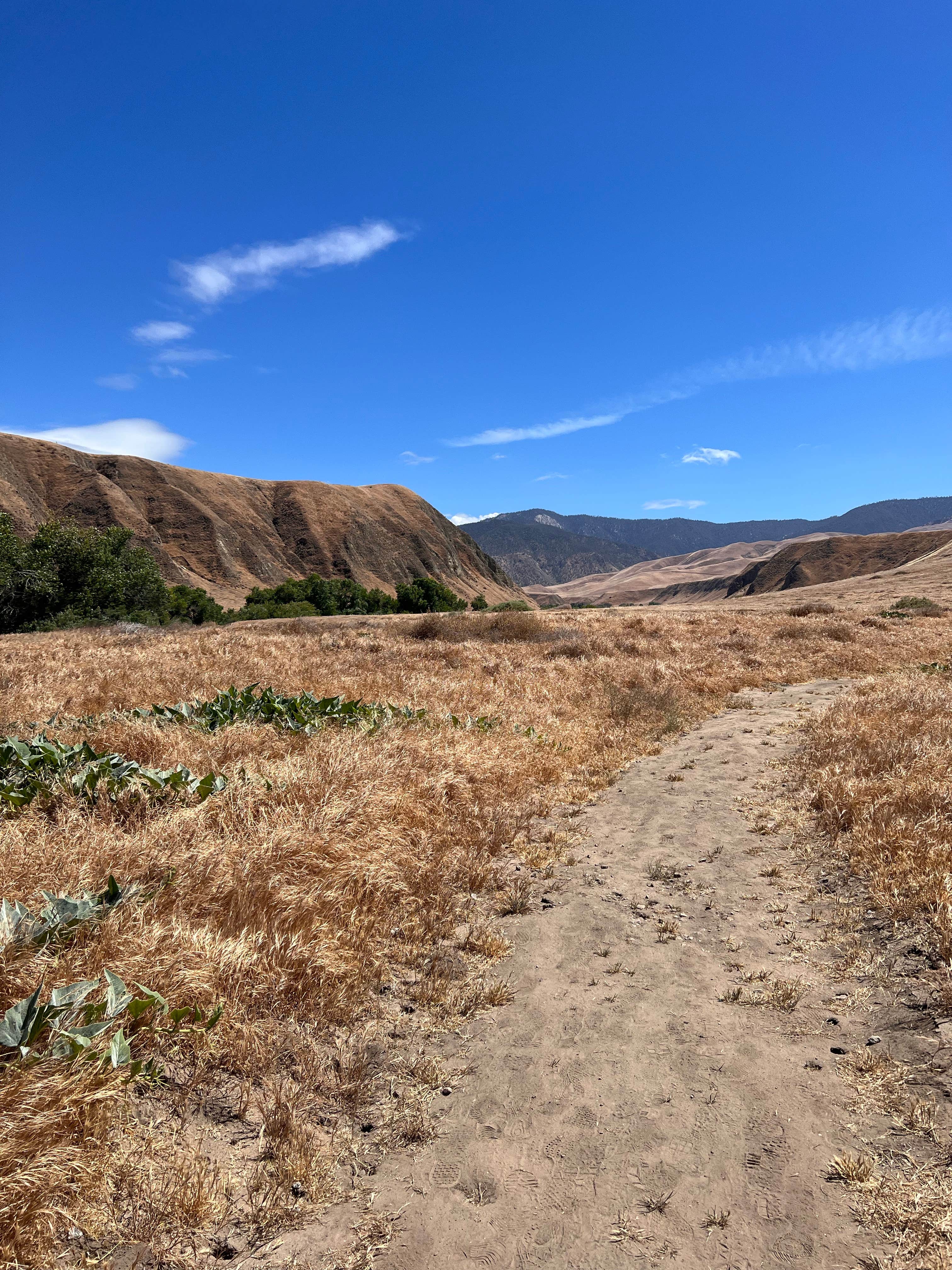 Camper-submitted photo at San Emigdio Campground near Taft, CA