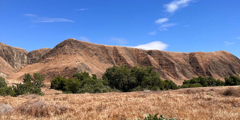 Camper submitted image from San Emigdio Campground