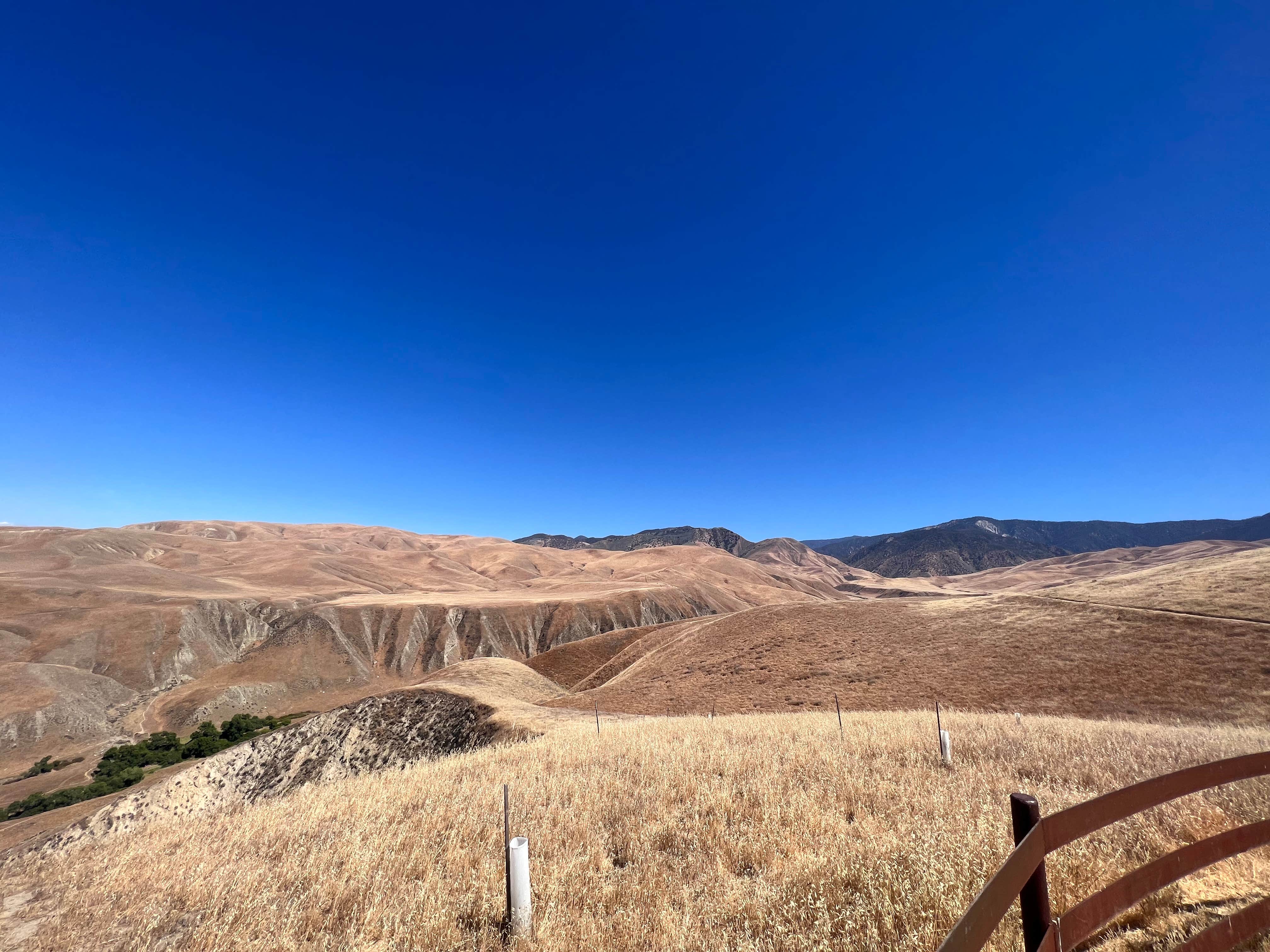 Camper-submitted photo at San Emigdio Campground near Taft, CA