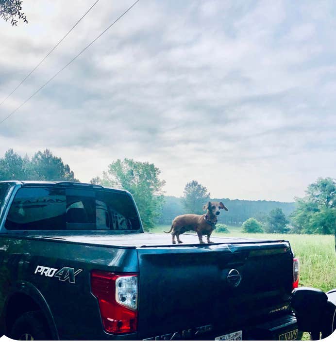 Camper-submitted photo at Big Country Camping near Monticello, GA