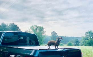 Robmindy A.'s photo of camping with pets at Big Country Camping near Centerville, GA