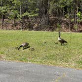 Review photo of Shoal Creek Campground by Casey L., May 31, 2022