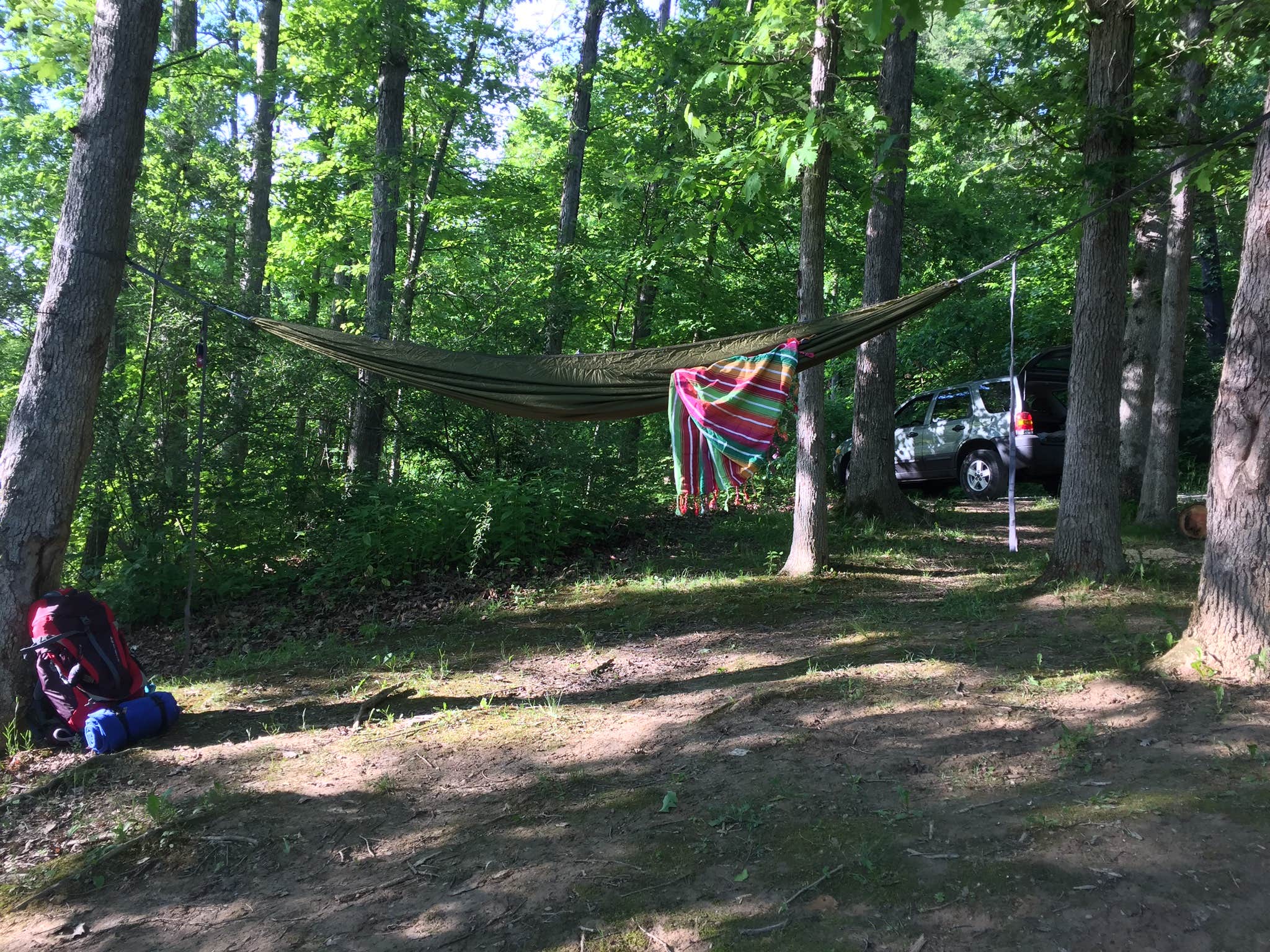 Camper submitted image from Sand Hollow (Campground C) — Jesse Owens State Park - 2