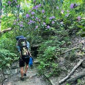 Review photo of Cloudland Canyon State Park Campground by Casey L., May 31, 2022