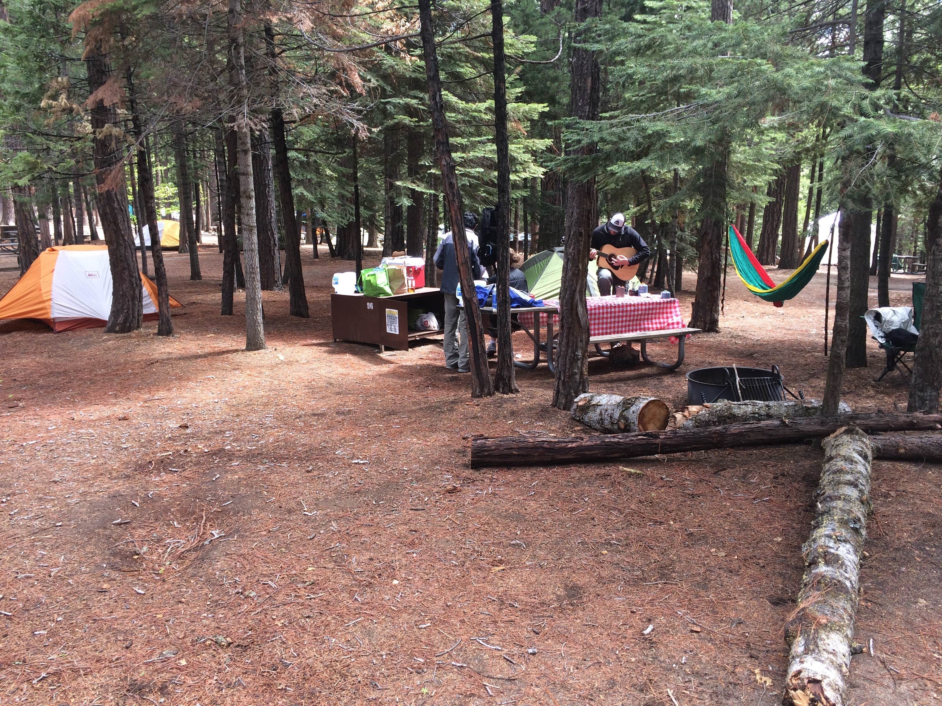 Hodgdon meadow trails store