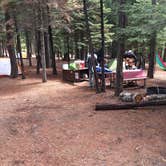 Review photo of Hodgdon Meadow Campground — Yosemite National Park by DEREK B., June 9, 2015