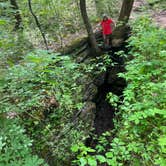 Review photo of Cedars of Lebanon State Park Campground by Casey L., May 31, 2022