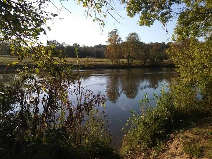 Camper submitted image from Davy Crockett Birthplace State Park Campground - 5
