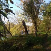 Review photo of Davy Crockett Birthplace State Park Campground by Rebecca M., July 15, 2018