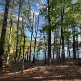 Review photo of Red Top Mountain State Park Campground by Casey L., May 31, 2022