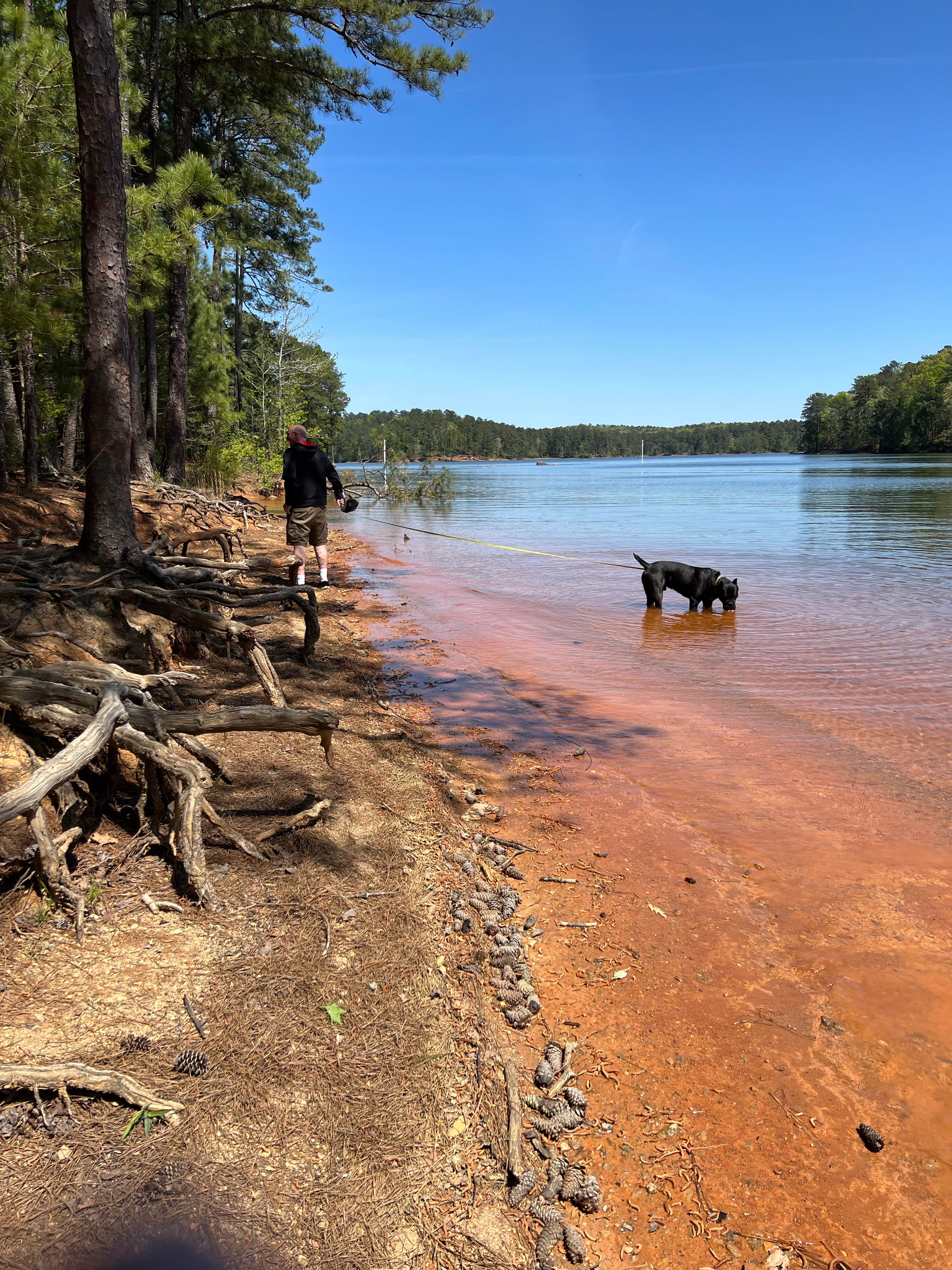 Casey L.'s photo of camping with pets at Red Top Mountain State Park Campground near Emerson, GA