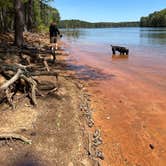 Review photo of Red Top Mountain State Park Campground by Casey L., May 31, 2022