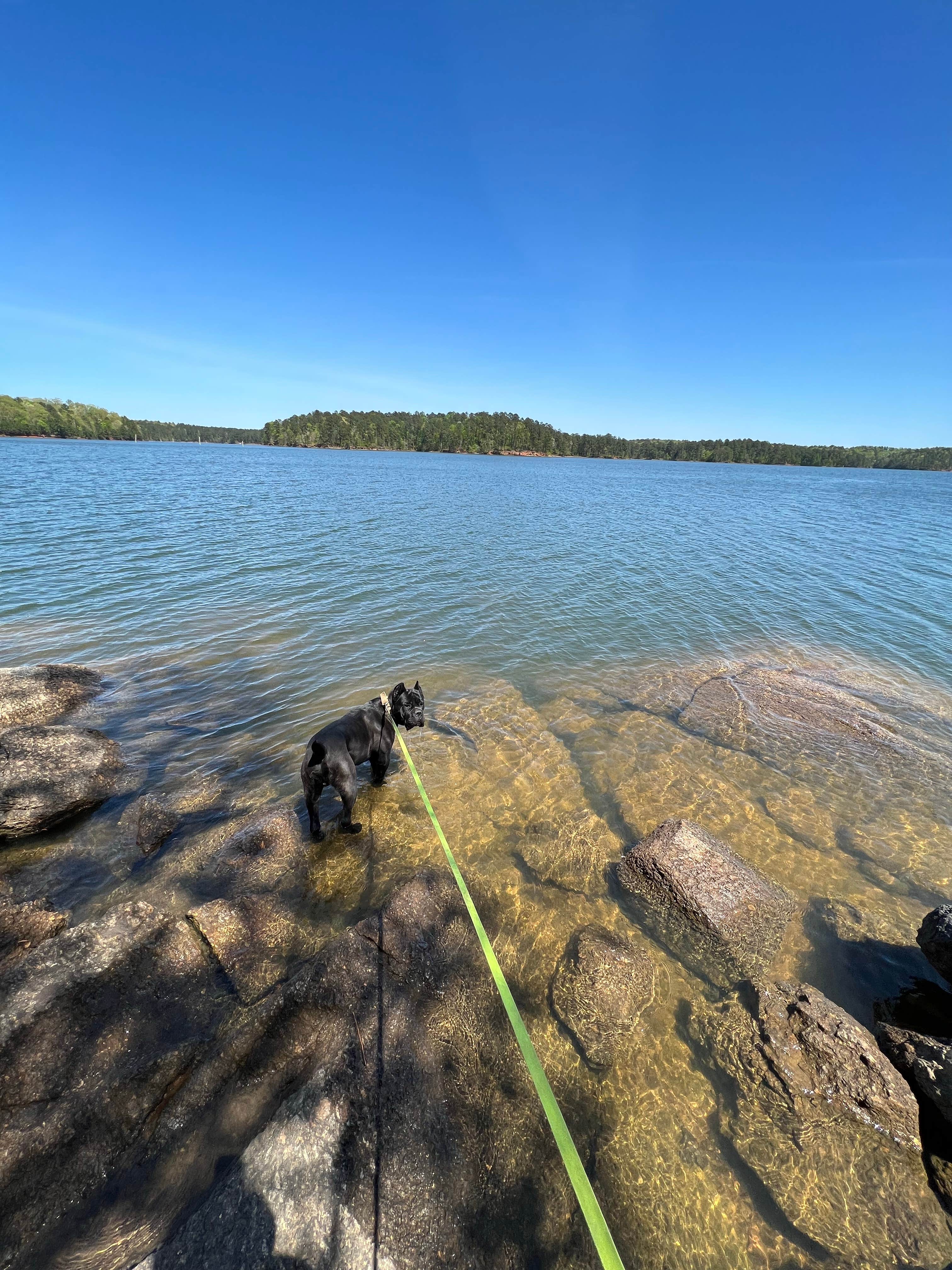Casey L.'s photo of camping with pets at Red Top Mountain State Park Campground near Kennesaw, GA