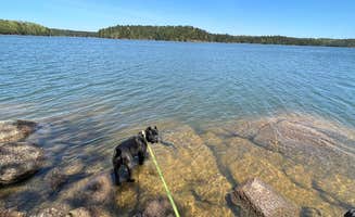 Casey L.'s photo of camping with pets at Red Top Mountain State Park Campground near Kennesaw, GA