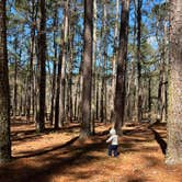 Review photo of Elijah Clark State Park Campground by Casey L., May 31, 2022