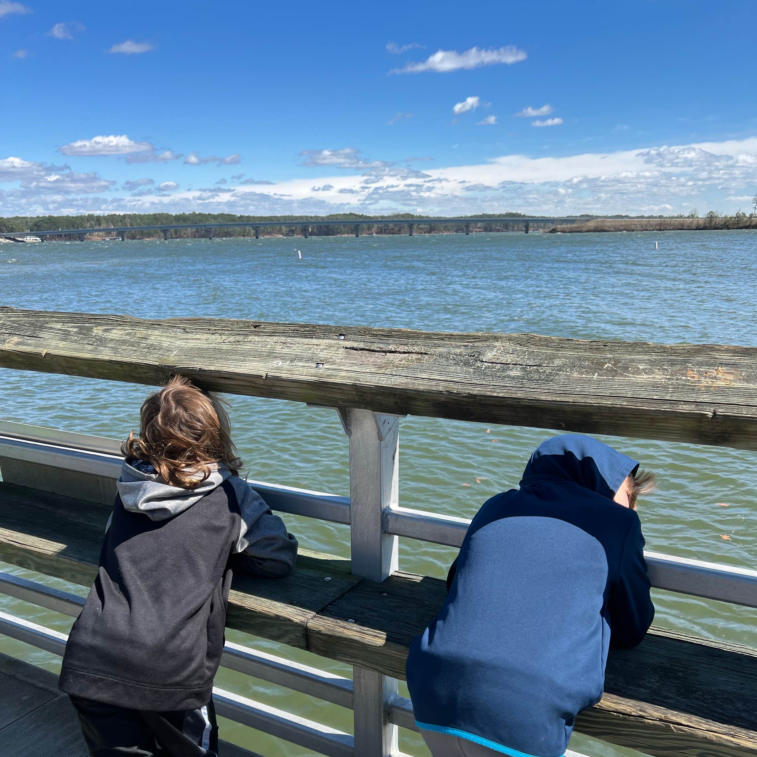 Elijah Clark State Park Camping The Dyrt