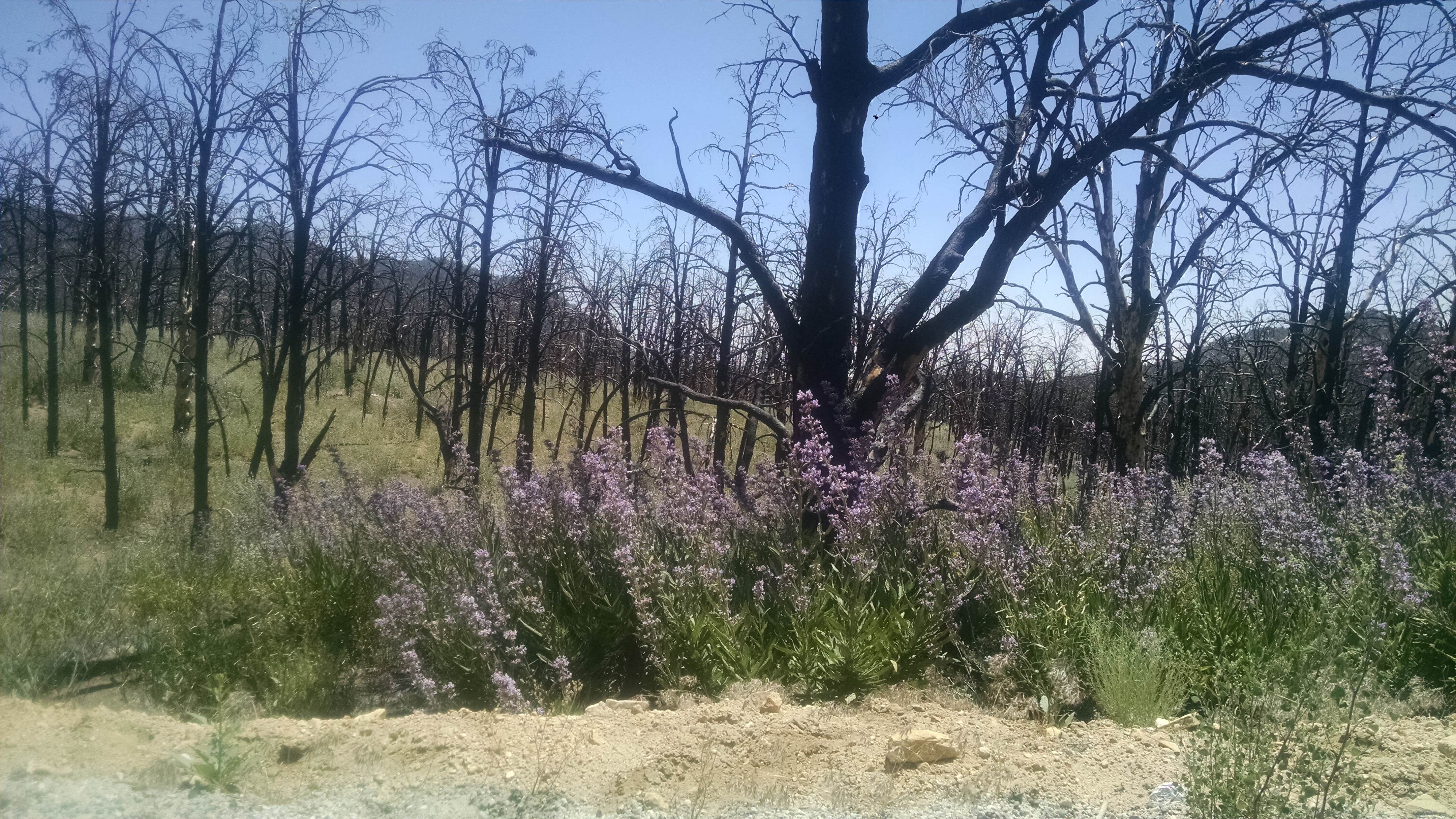 Camper-submitted photo at Chimney Creek Campground near Trona, CA