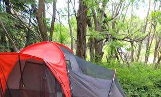 Camping near Arnett Road Camp: Upper Pinal Campground, Globe, Arizona