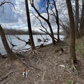 Review photo of Antietam Creek Campground — Chesapeake and Ohio Canal National Historical Park by Nick C., May 31, 2022