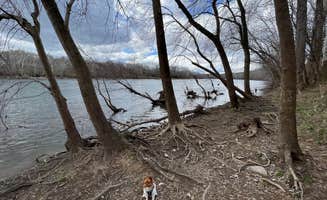Nick C.'s photo of camping with pets at Antietam Creek Campground — Chesapeake and Ohio Canal National Historical Park near Martinsburg, WV