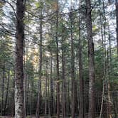 Review photo of Blackwoods Campground — Acadia National Park by Neil T., May 31, 2022