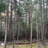 Review photo of Blackwoods Campground — Acadia National Park by Neil T., May 31, 2022