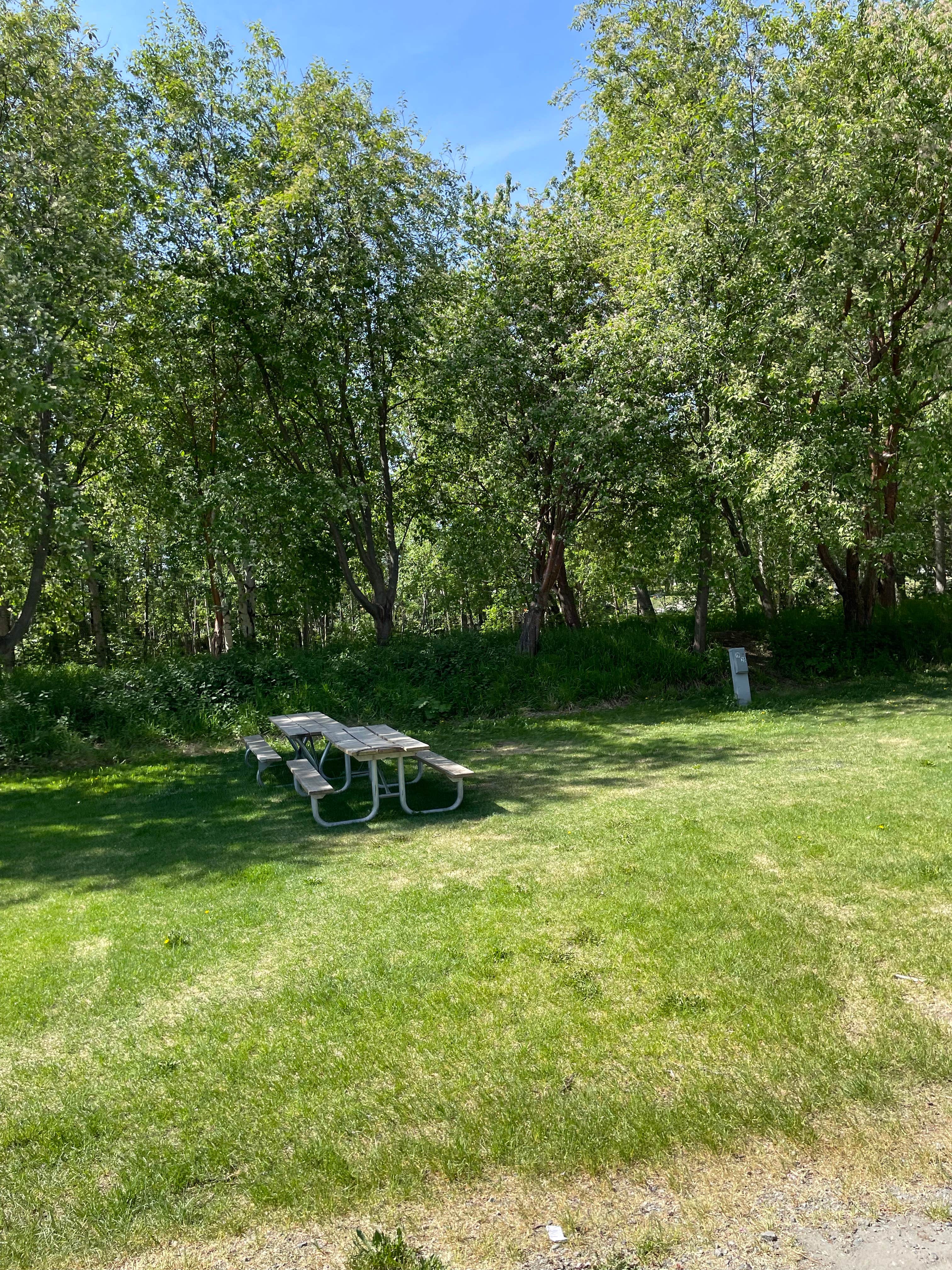 THE 10+ BEST Campgrounds near Palmer, AK